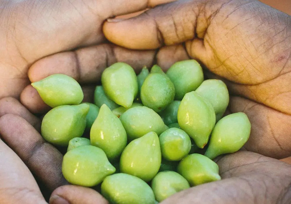 Unveiling Nature's Treasure for Radiant Health - Karrot Natural