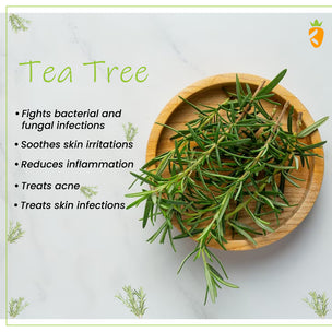 tea tree benefits